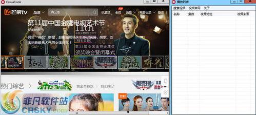 新疆饭店爆料视频播放器,揭秘事件背后真相