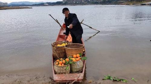网友爆料渔船视频在线观看,渔船惊险瞬间，海上求生实况视频引关注  第2张